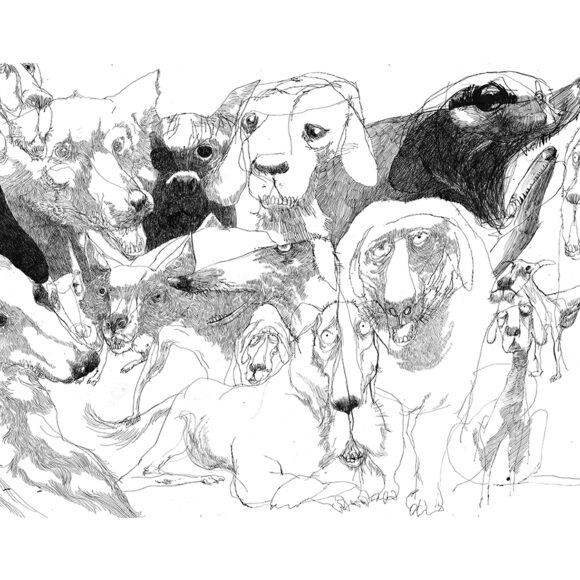 The Dogs of Athens