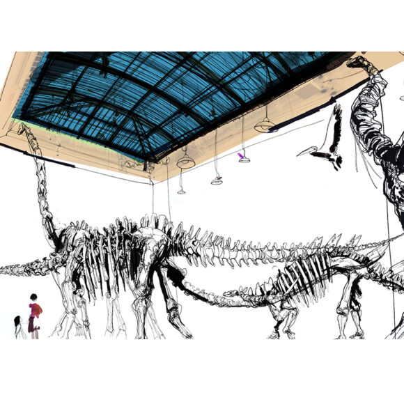Dinosaurs at the Museum