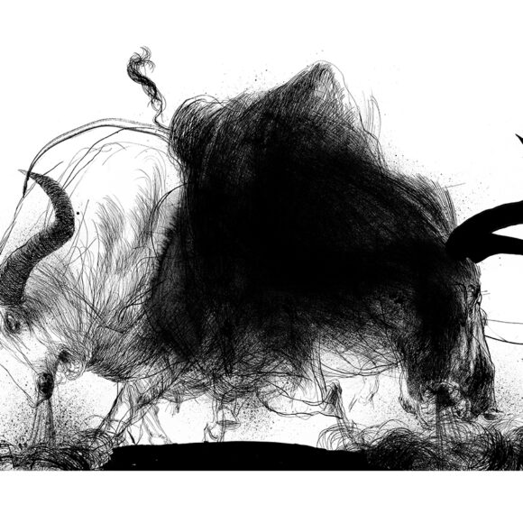 Fire breathing Oxen of Colchis