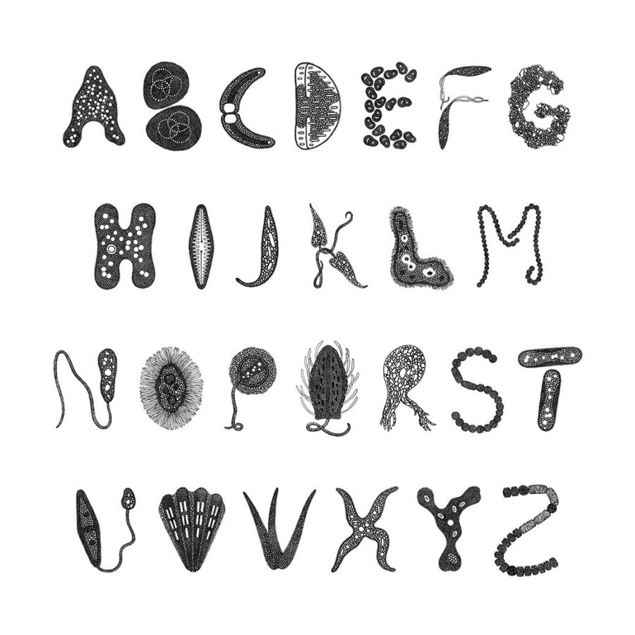 Micro Alphabet