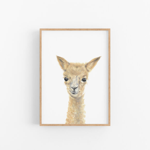 ALPACA