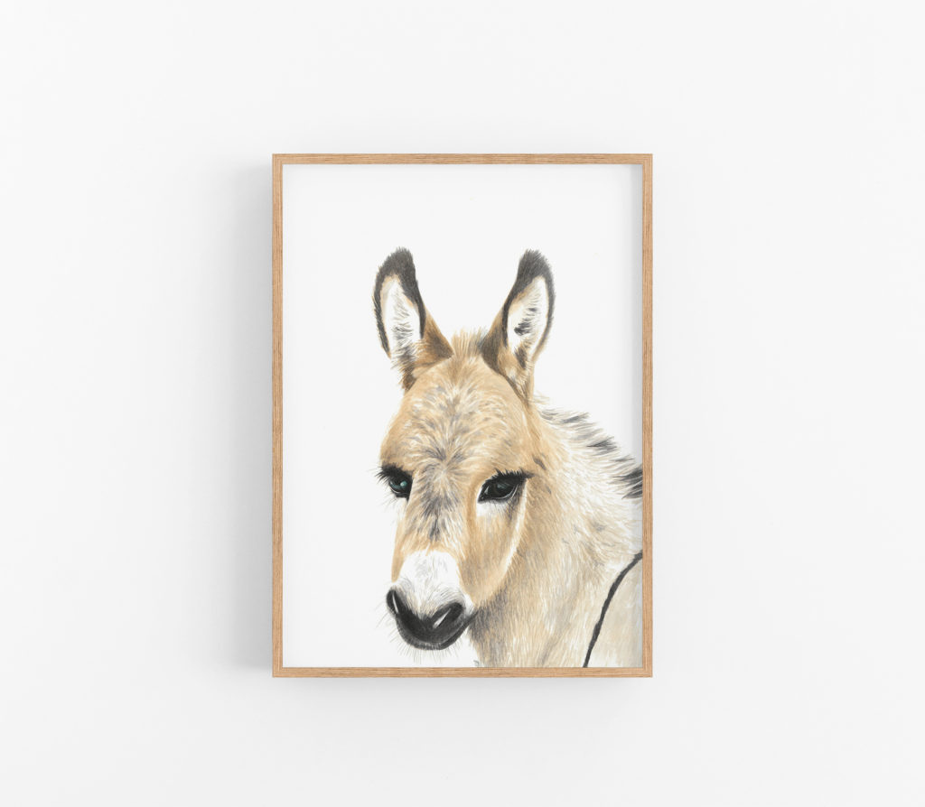 DONKEY - PrintSin