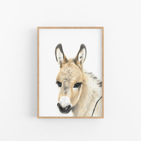 DONKEY