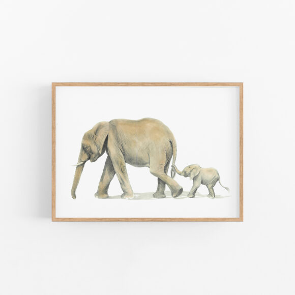 ELEPHANT&CALF