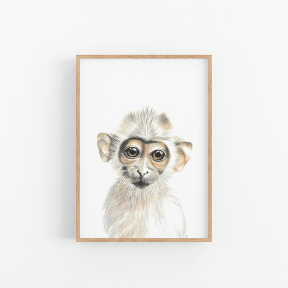 MONKEY