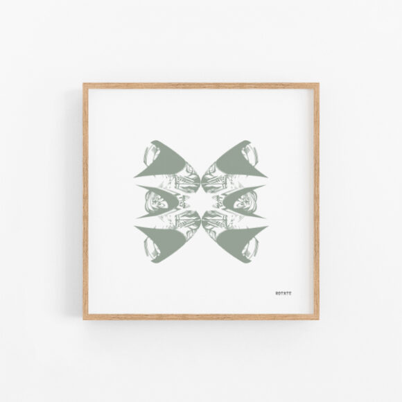 Stone Butterflies 1