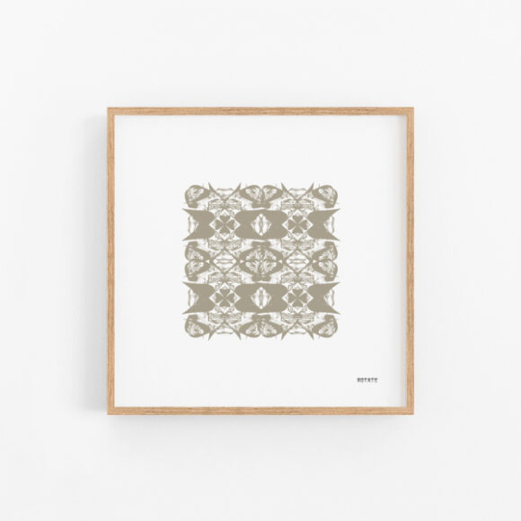 Sand Shells 2