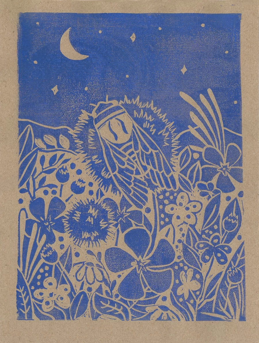Dusk II
