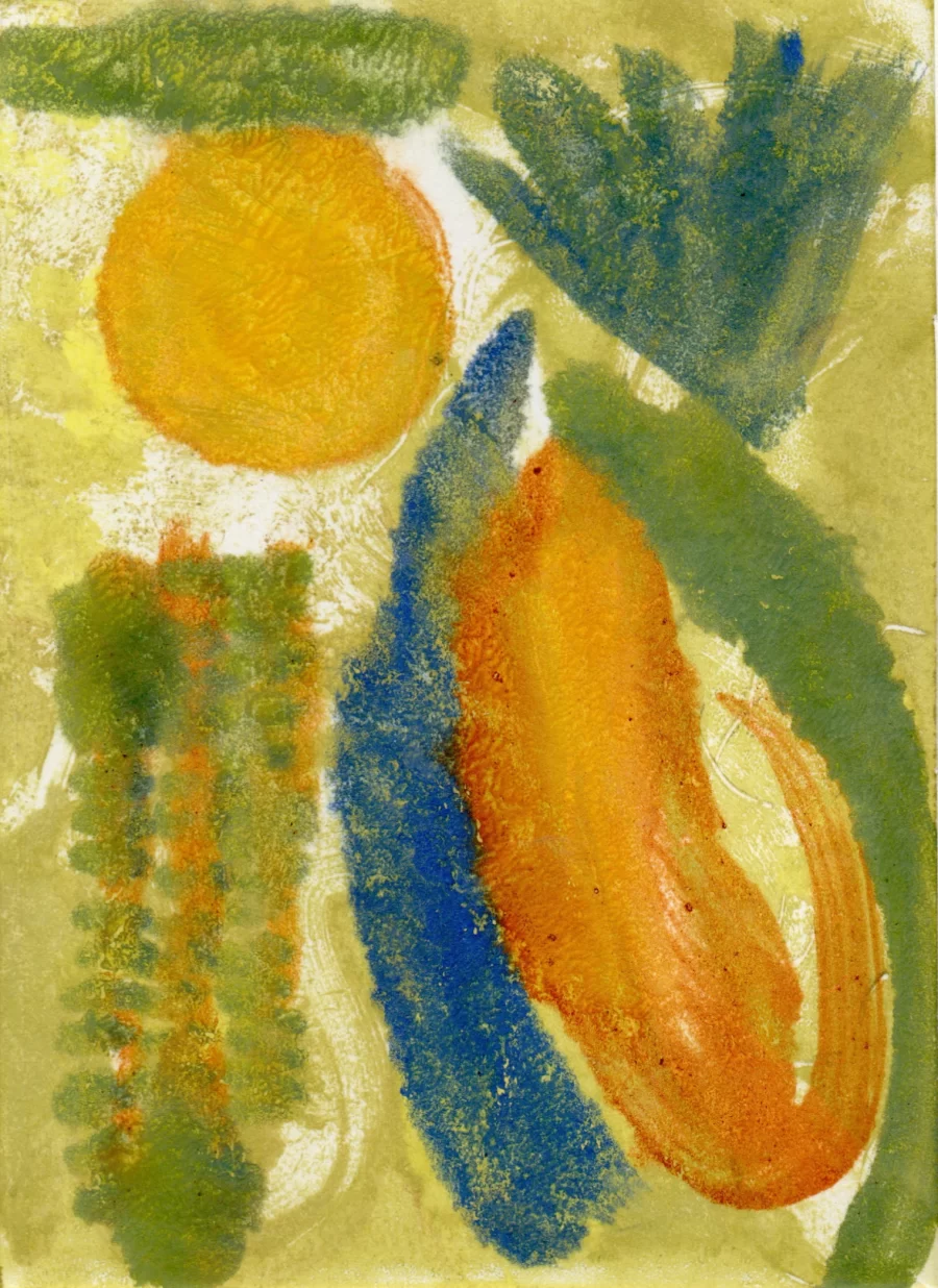 Fossils
