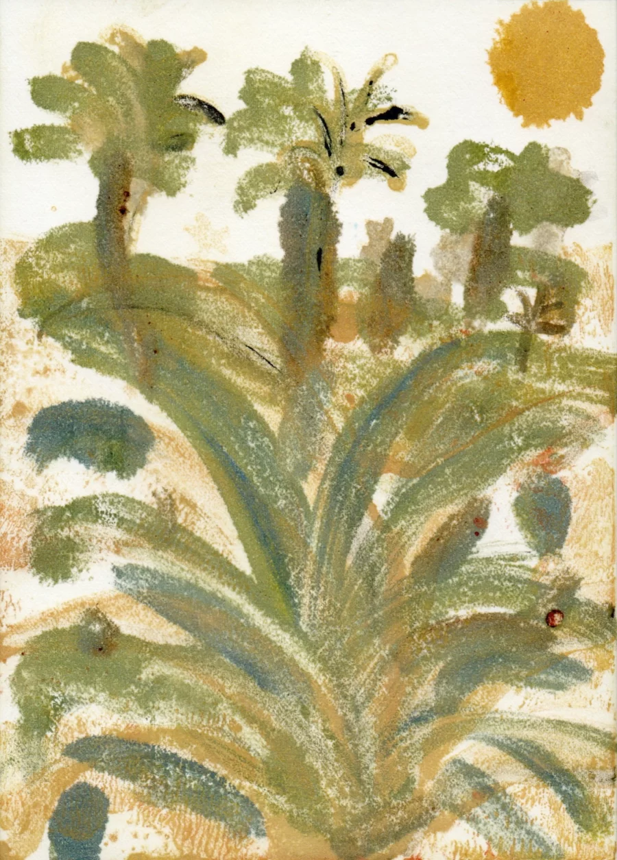 palms