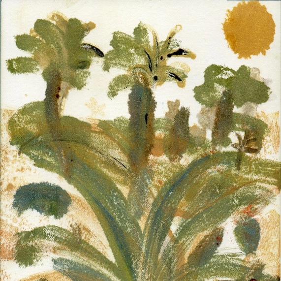 palms