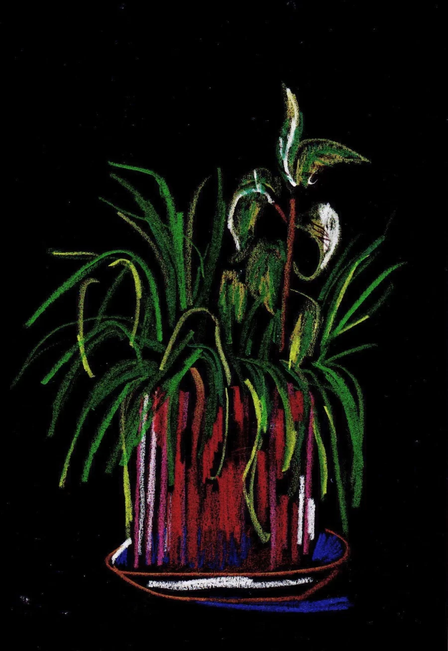 Quarantine II