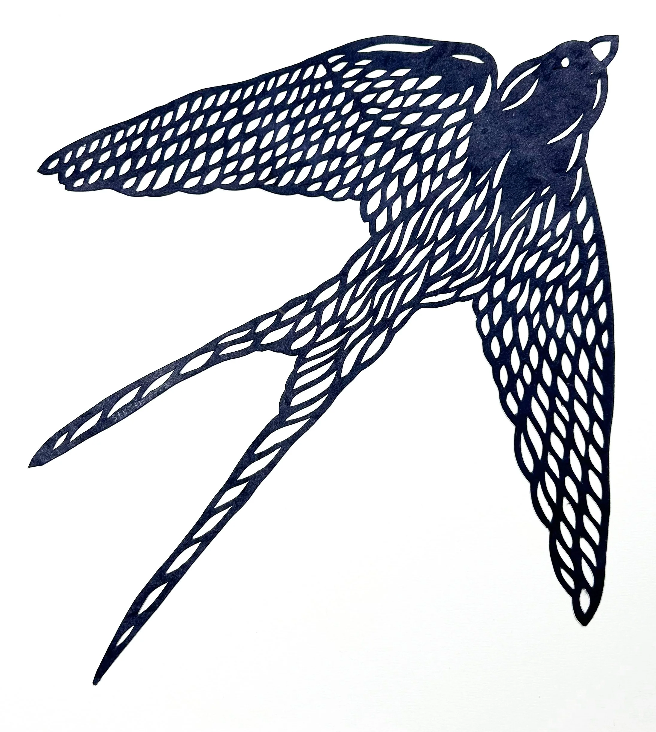 Swallow blue