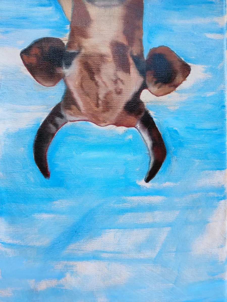 Upside