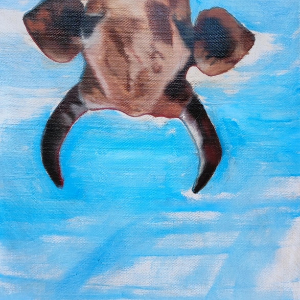Upside