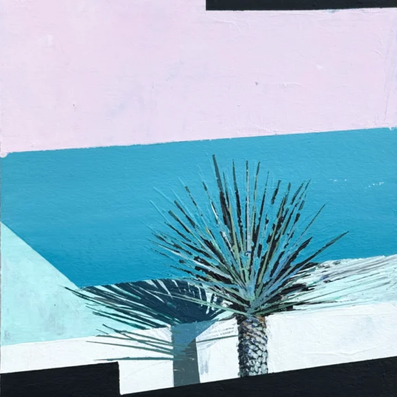 Yucca